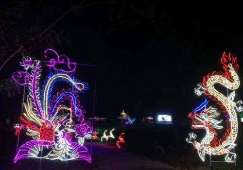 中华紫薇园梦幻灯光节，约你来赴一场光影盛会！