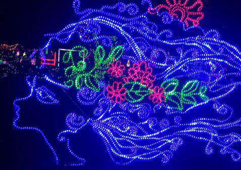 中华紫薇园梦幻灯光节，约你来赴一场光影盛会！