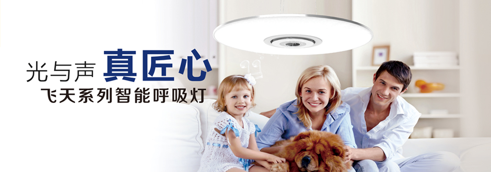 荣事达灯饰加盟