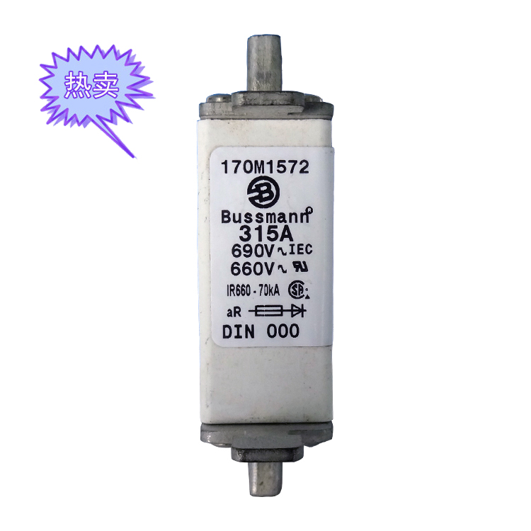 快速熔断器170M1572（315A）