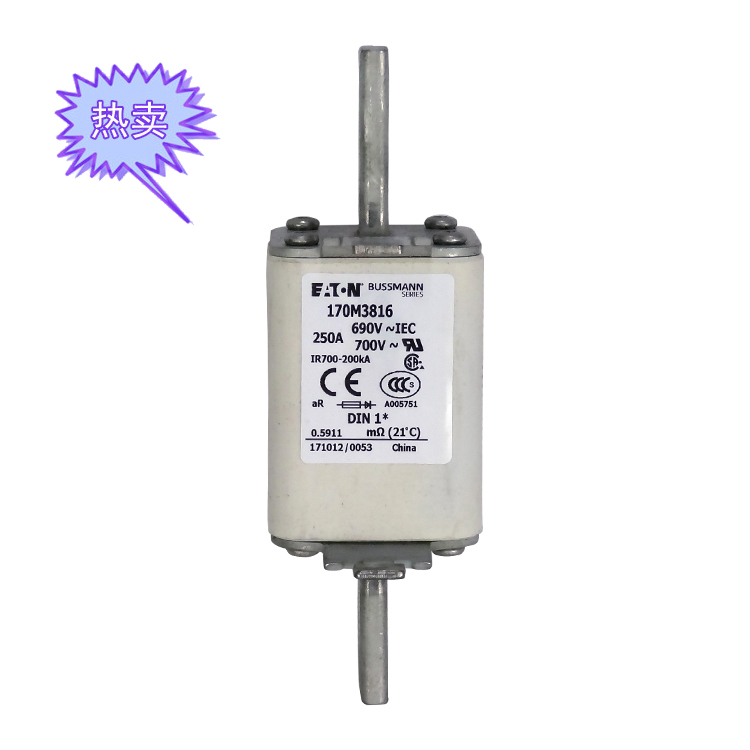 快速熔断器170M3816（250A）