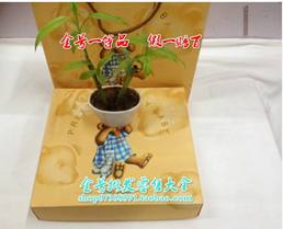 中彩神 生日福利